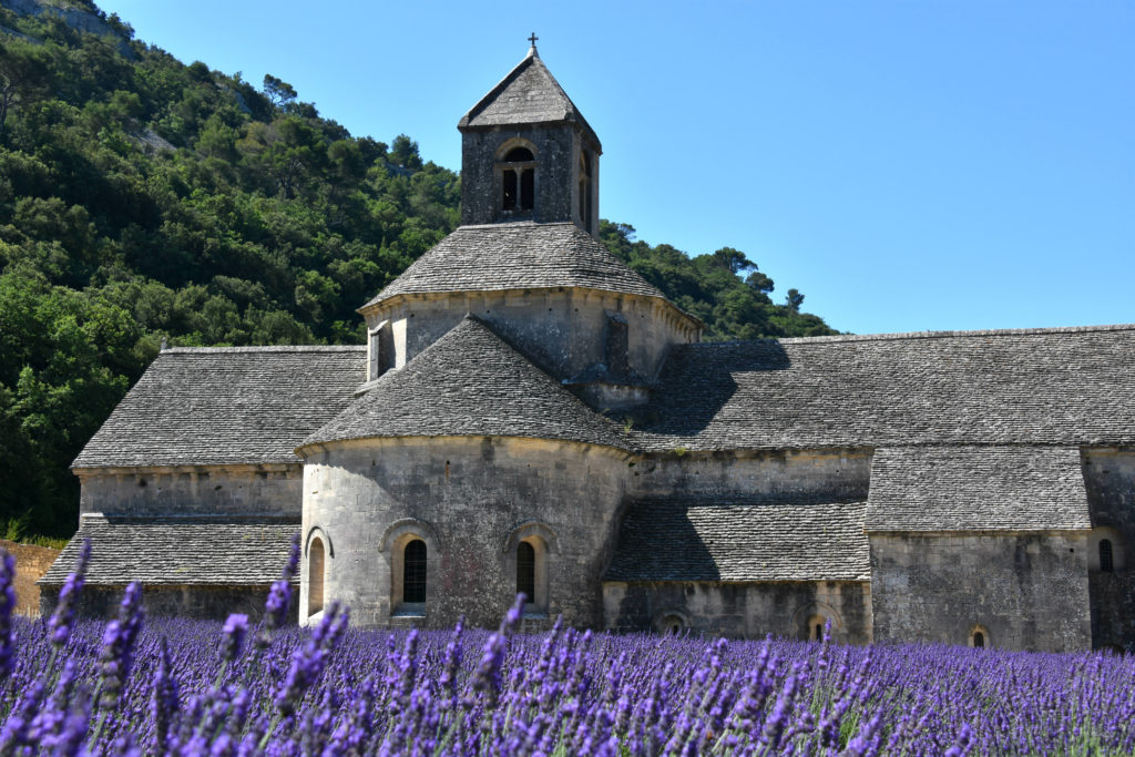 Les champs de lavande de l’Abbaye Notre-Dame de Sénanque<br>Source : <a href=